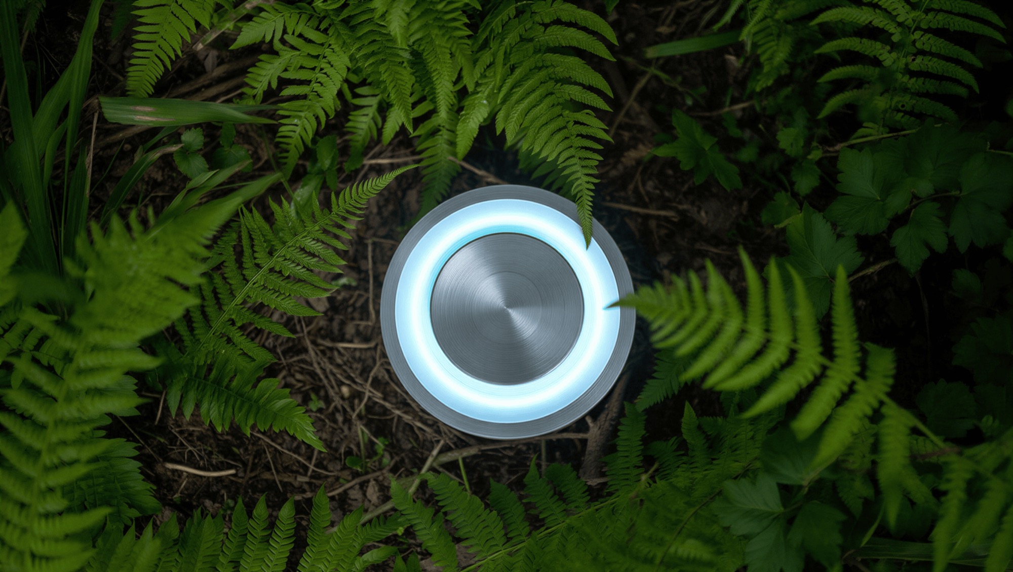 A field data device surrounded by living ferns